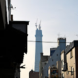 DSC_1172.jpg