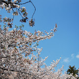 DSC_0697.JPG