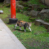 DSC_0711.JPG