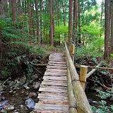 DSC_1030.jpg