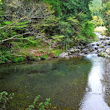 DSC_1036.JPG