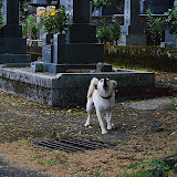 DSC_1138.JPG