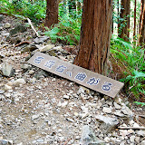 DSC_1062.JPG