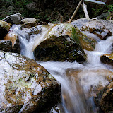 DSC_1083.JPG