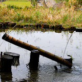 DSC_1106.JPG