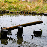 DSC_1109.JPG