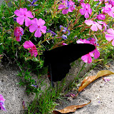 DSC_1148.JPG