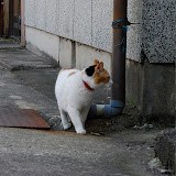 DSC_1169.JPG