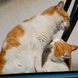 DSC_1814.JPG