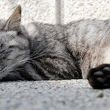 DSC_0470.JPG