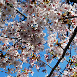 DSC_0387.JPG
