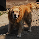 DSC_0174.JPG