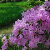 DSC_1218.JPG