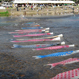 DSC_1324.JPG