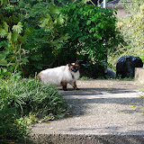 DSC_1373.JPG