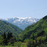 DSC_1487.JPG