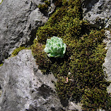 DSC_1489.JPG