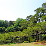 DSC_1310.JPG