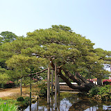 DSC_1313.JPG