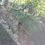DSC_1514.JPG