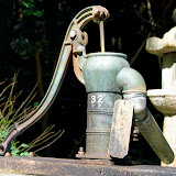 DSC_1516.JPG