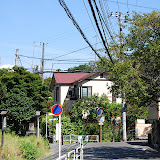 DSC_1577.JPG