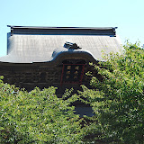 DSC_1578.JPG