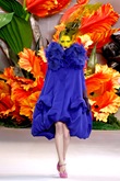Automne Hiver Haute Couture 2010 - Christian Dior 5 Automne Hiver Haute Couture 2010 - Christian Dior 5