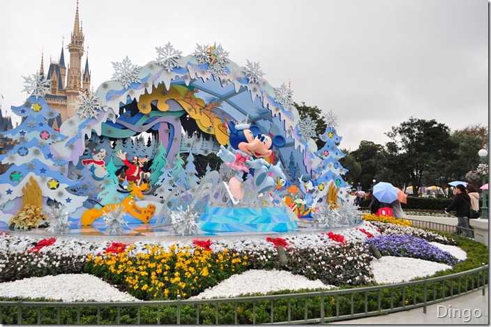 DSC_7202 DSC_7202