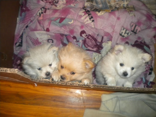 snuggles