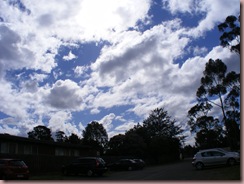 DSCF0631