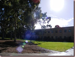 DSCF0160
