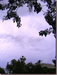 DSCF1154
