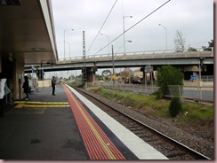 SANY0225