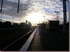 DSCF0193