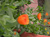 DSCN4873.JPG