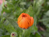 DSCN4875.JPG
