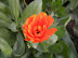 DSCN4878.JPG