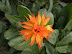 DSCN4881.JPG