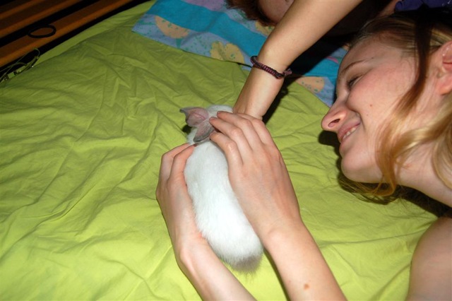 [DSC_1837 (Large)[3].jpg]