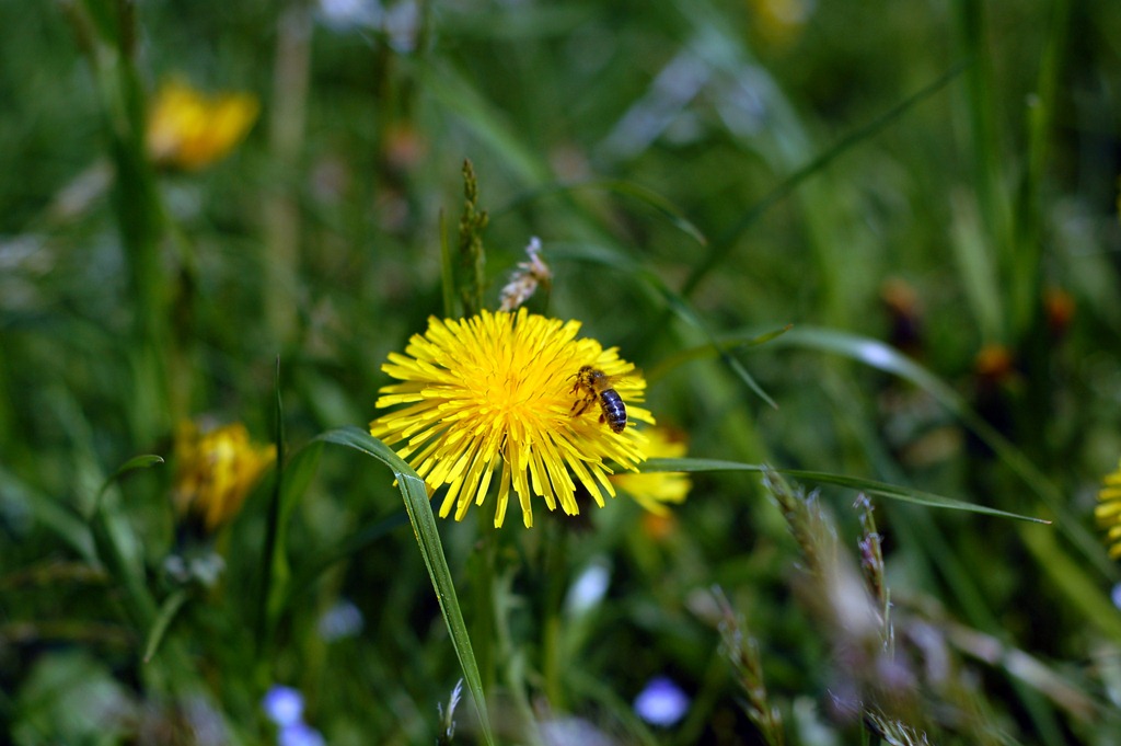 [DSC_06543.jpg]