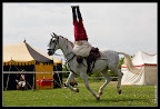Jezdečtí akrobati