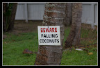 Pozor na padající kokosy