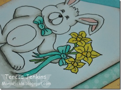 apr2011 rabbit closeup apr2011 rabbit closeup