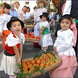 imagen romeria.jpg