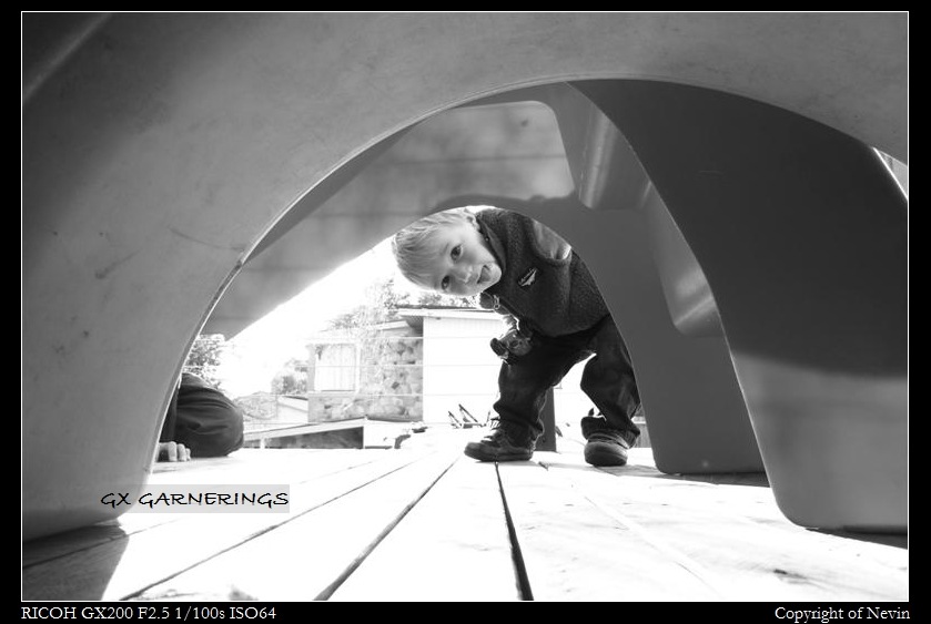[R1230441 (Medium)[7].jpg]