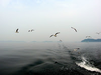 20100710- 057.jpg