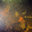 P7260806-2.JPG