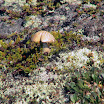 DSC00169.JPG