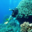 PB211715-1.JPG